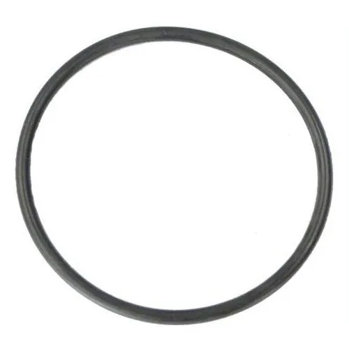 Hayward XStream O-Ring for Pressure Gauge Adapter and Air Relief Valve CCX1000Z5
