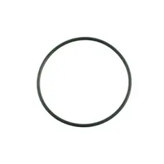 O-Ring for Hayward Power-Flo Matrix Housing SPX0710XZ5