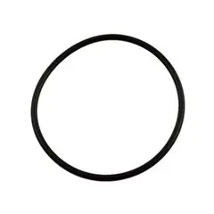 O-Ring for Pentair Optiflo Strainer Lid 357255