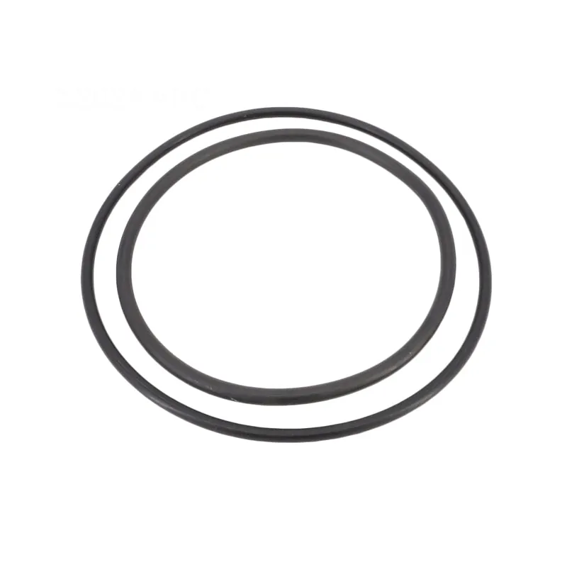 Pentair O-Ring Replacement Kit O-Ring Pentair (ZBR12200)