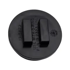 Pentair Plug-2In W/ O-Ring (195830)
