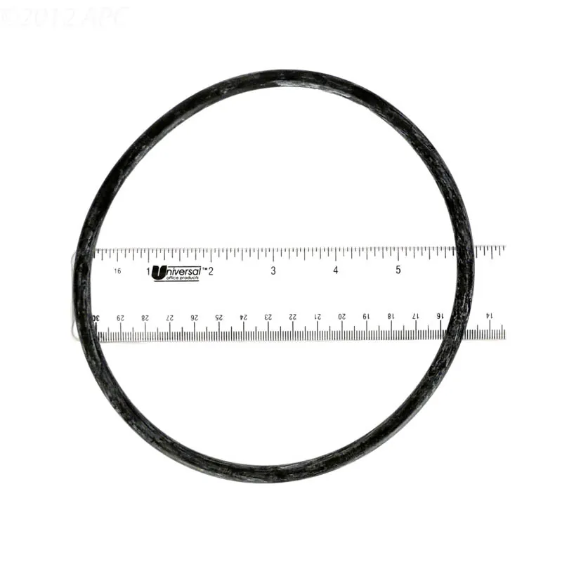 Pentair Pump Lid O-Ring (350013Z)