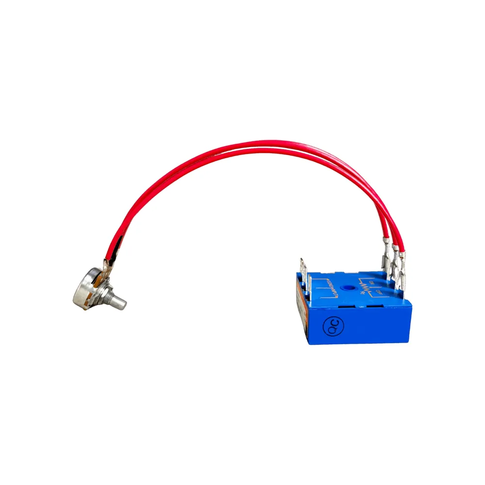 Rola-Chem Timer Assembly 240V Peristaltic Pump (524066)